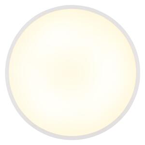 Globo 41566-32W - LED Stropné svietidlo NIELSEN LED/32W/230V 4000K pr. 40 cm biela