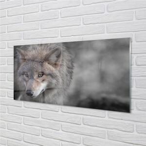 Nástenný panel  vlk 100x50 cm