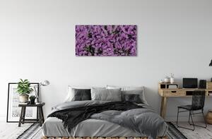 Obraz canvas fialové kvety 100x50 cm