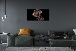 Obraz na plátne hnedý pes 100x50 cm