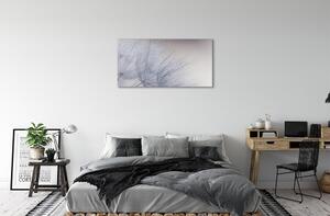 Obraz canvas Kvapky rosy púpavy 100x50 cm