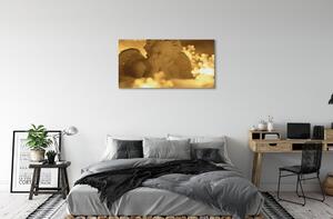 Obraz na plátne Ležiaci anjel svetla 100x50 cm