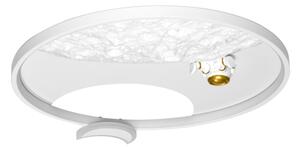 Brilagi - stmievateľné LED stropné svietidlo ASTRO LED/20W/230V 3000-6000K astronaut+DO