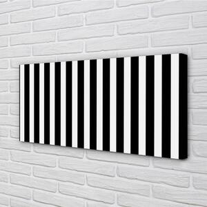 Obraz na plátne Geometrické zebra pruhy 100x50 cm