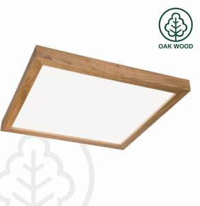 Brilagi - LED Kúpeľňové svietidlo WOODY FRAME LED/40W/230V 60x60 cm IP44 dub