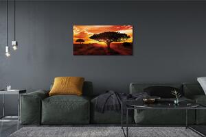 Obraz canvas Stromy mraky západ 100x50 cm