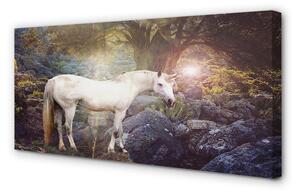 Obraz na plátne Unicorn v lese 100x50 cm