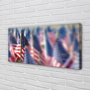 Obraz canvas Vlajky Spojených štátov 100x50 cm