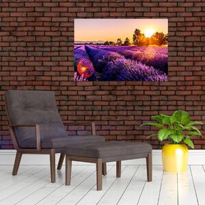 Obraz levanduľového pole, Provence (90x60 cm)