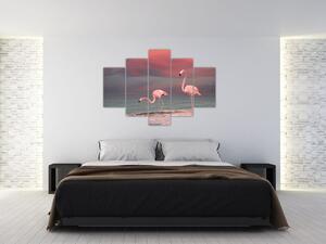 Obraz plameniakov (150x105 cm)
