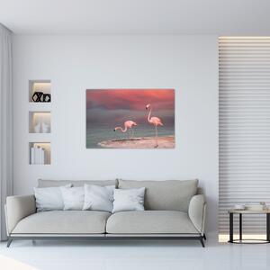 Obraz plameniakov (90x60 cm)