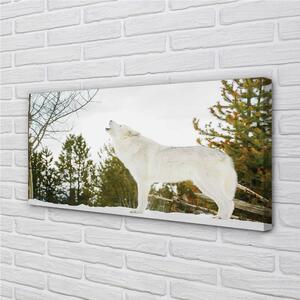 Obraz na plátne Vlk v zime lese 100x50 cm