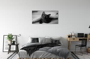 Obraz na plátne Mačka pod prikrývkou 100x50 cm