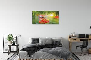 Obraz na plátne Farebný motýľ kvety 100x50 cm