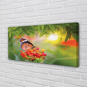 Obraz na plátne Farebný motýľ kvety 100x50 cm