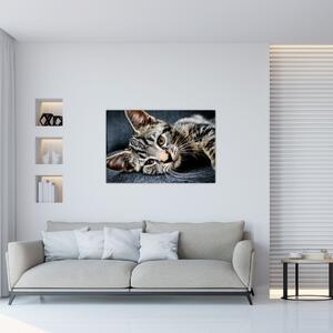 Obraz - Mačiatko (90x60 cm)