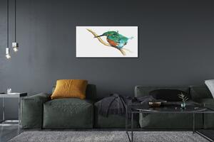 Obraz na plátne Farebné maľované papagáj 100x50 cm
