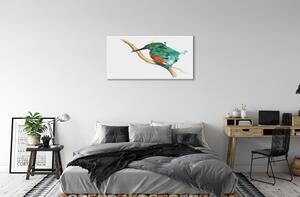 Obraz na plátne Farebné maľované papagáj 100x50 cm