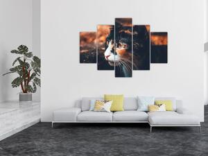 Obraz - Pohľad mačky (150x105 cm)