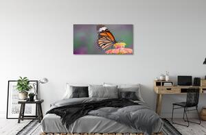 Obraz na plátne Farebný motýľ kvetina 100x50 cm