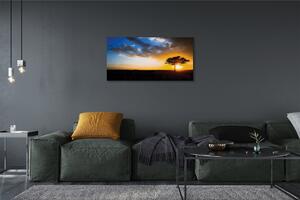 Obraz canvas mraky strom 100x50 cm