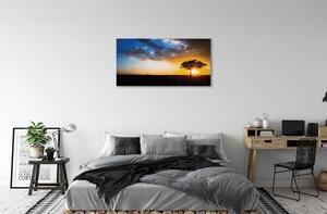 Obraz canvas mraky strom 100x50 cm