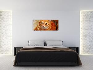 Obraz ležiace mačky (120x50 cm)