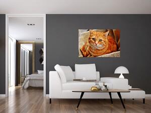 Obraz ležiace mačky (90x60 cm)