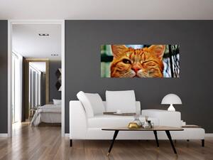 Obraz žmurkajúce mačky (120x50 cm)