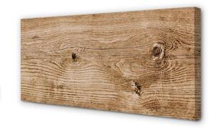 Obraz canvas Plank dreva 100x50 cm