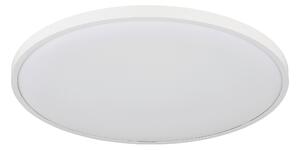STROPNÉ LED SVIETIDLO, 40/4 cm Globo - Online Only bytové doplnky, Online Only
