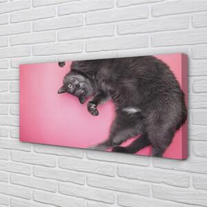 Obraz na plátne ležiace mačka 100x50 cm