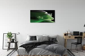 Obraz canvas V čele muž zelenú 100x50 cm