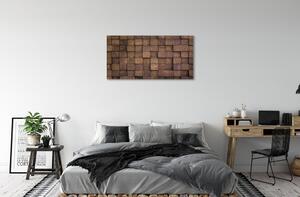 Obraz canvas dreva cat 100x50 cm