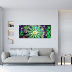Obraz kaktusu (120x50 cm)