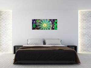 Obraz kaktusu (120x50 cm)