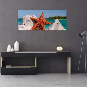 Obraz morskej hviezdice (120x50 cm)