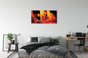 Obraz canvas pikantné papričky 100x50 cm