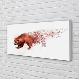 Obraz canvas medveď 100x50 cm