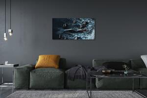Obraz canvas morská siréna 100x50 cm
