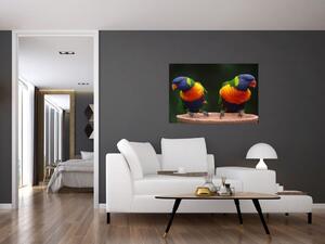 Obraz papagájov (90x60 cm)