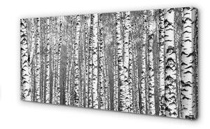 Obraz canvas Čierna a biela strom 100x50 cm