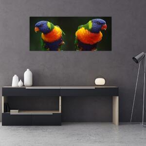 Obraz papagájov (120x50 cm)