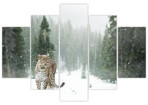 Obraz leoparda v snehu (150x105 cm)