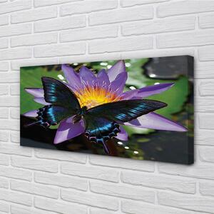 Obraz na plátne motýľ kvetina 100x50 cm