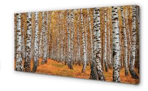 Obraz canvas jesenné stromy 100x50 cm