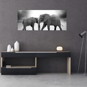 Obraz slonov (120x50 cm)
