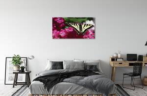 Obraz na plátne kvety motýľ 100x50 cm