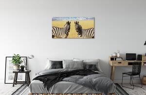 Obraz na plátne zebra box 100x50 cm