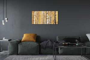 Obraz canvas jesenné stromy 100x50 cm
